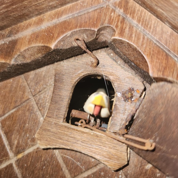 Cuckoo Clock Germany, * none working* - Picture 5 of 9